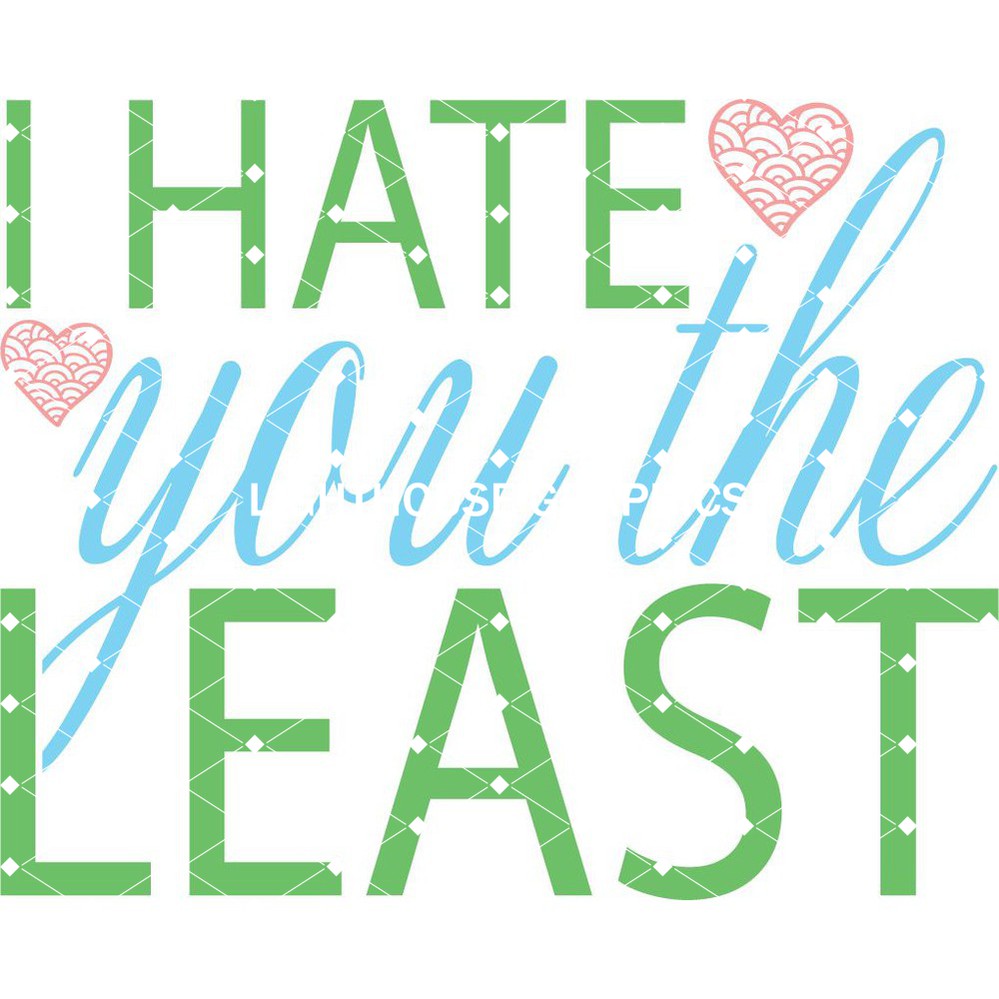 I Hate You Least
