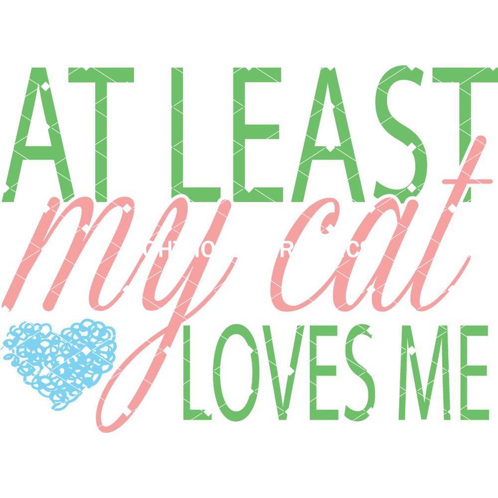 At Least My Cat Loves Me