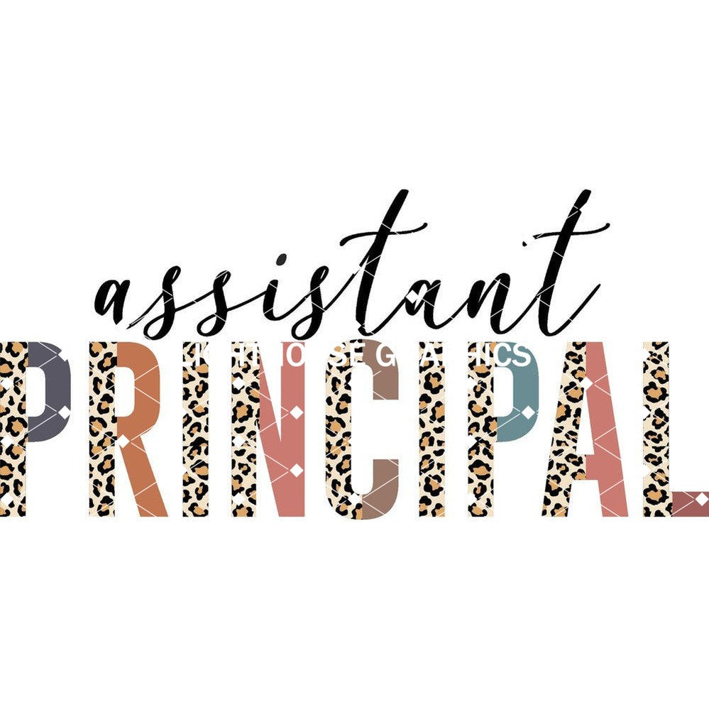 Assistant Principal